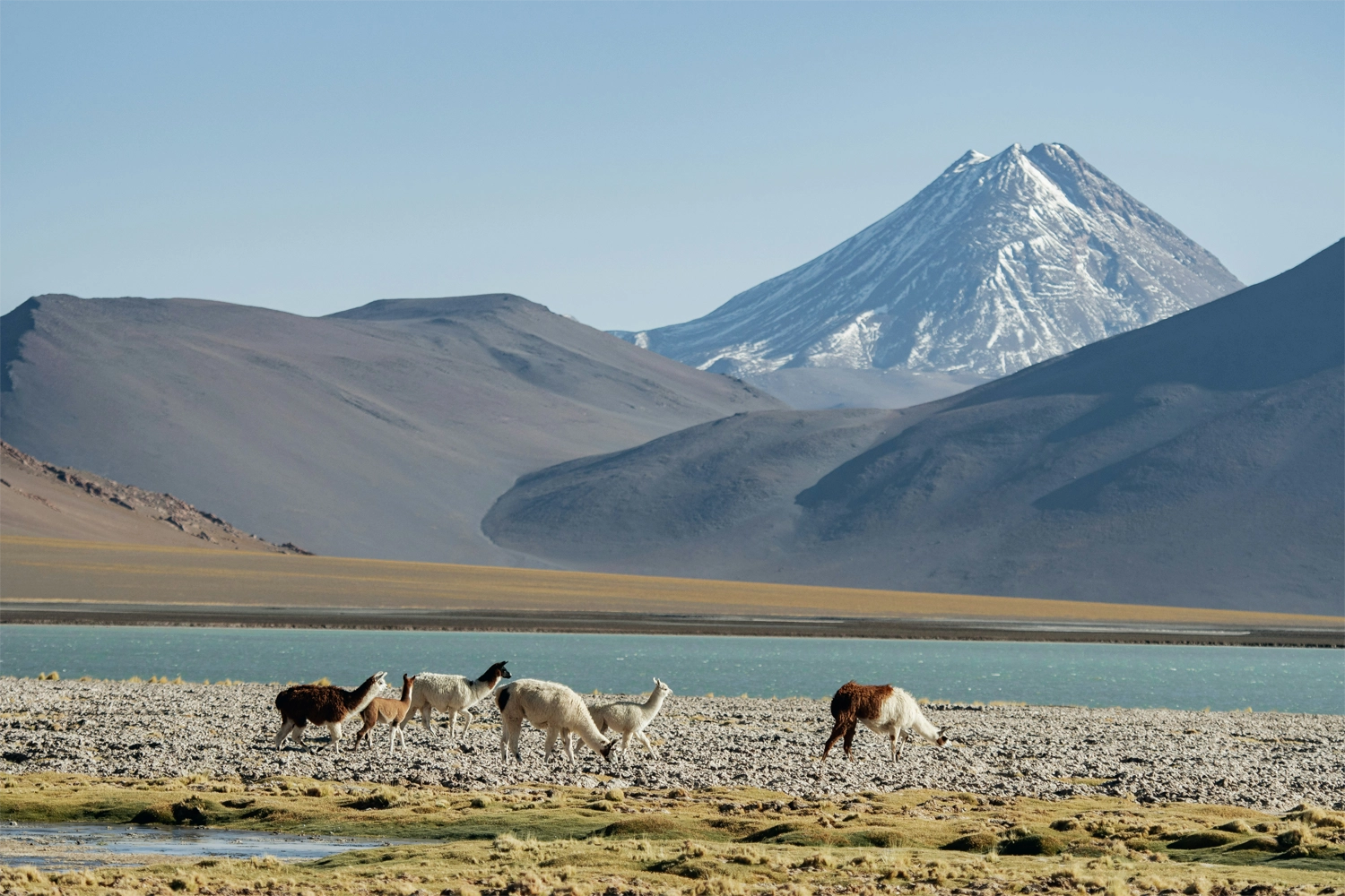 Mongolia