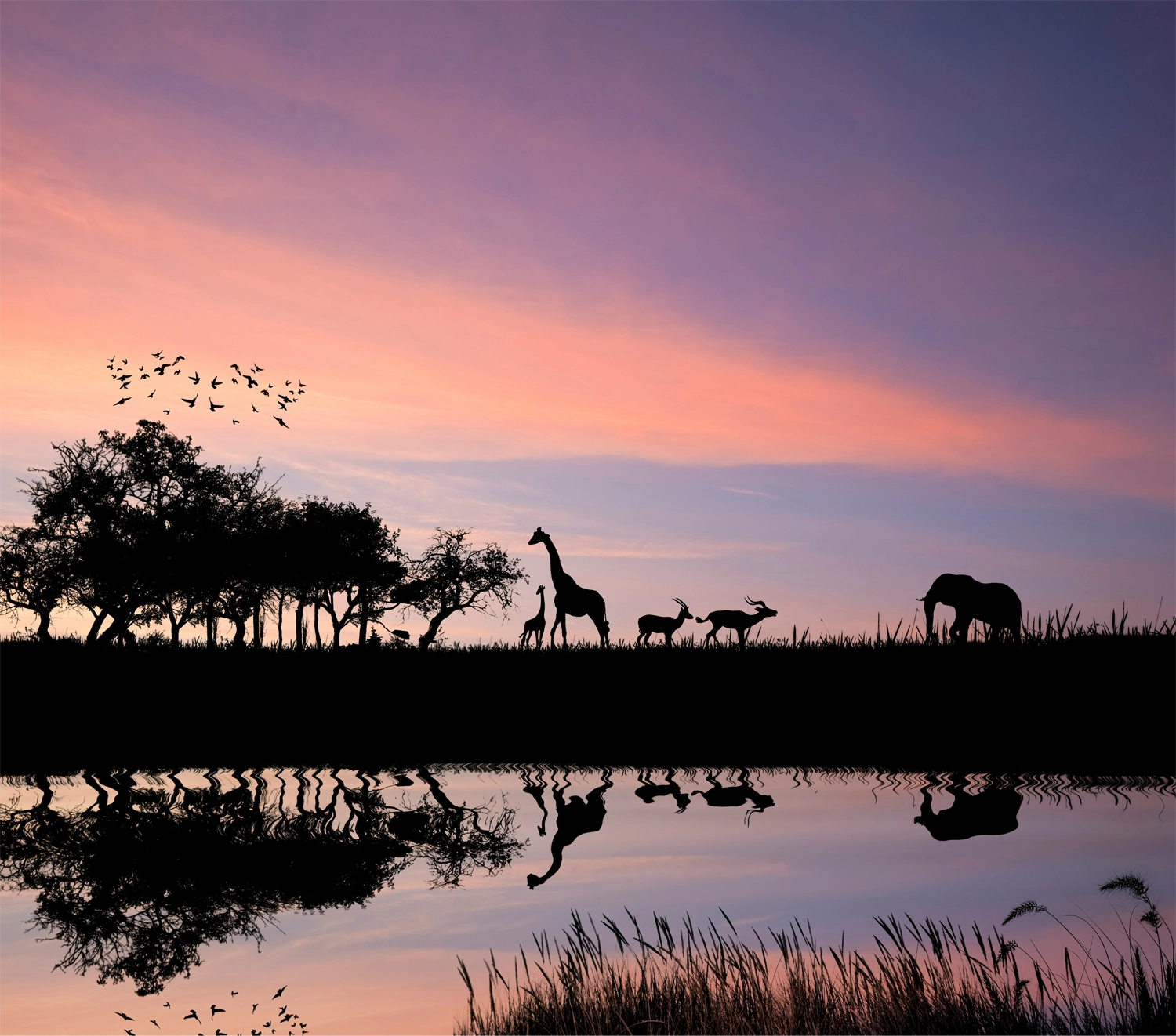 Tanzania, United Republic of