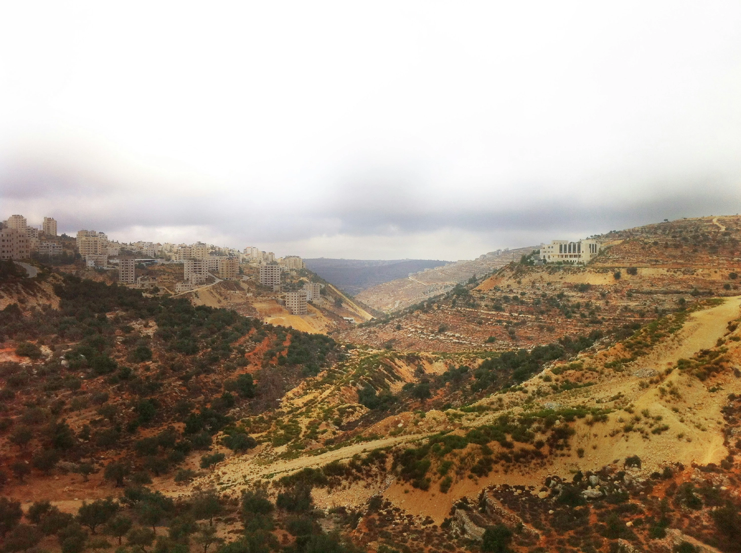 Palestine, State of