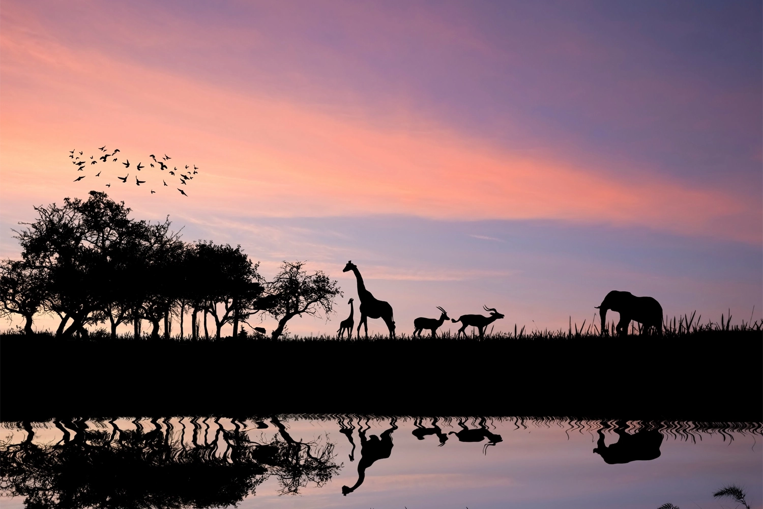 Africa